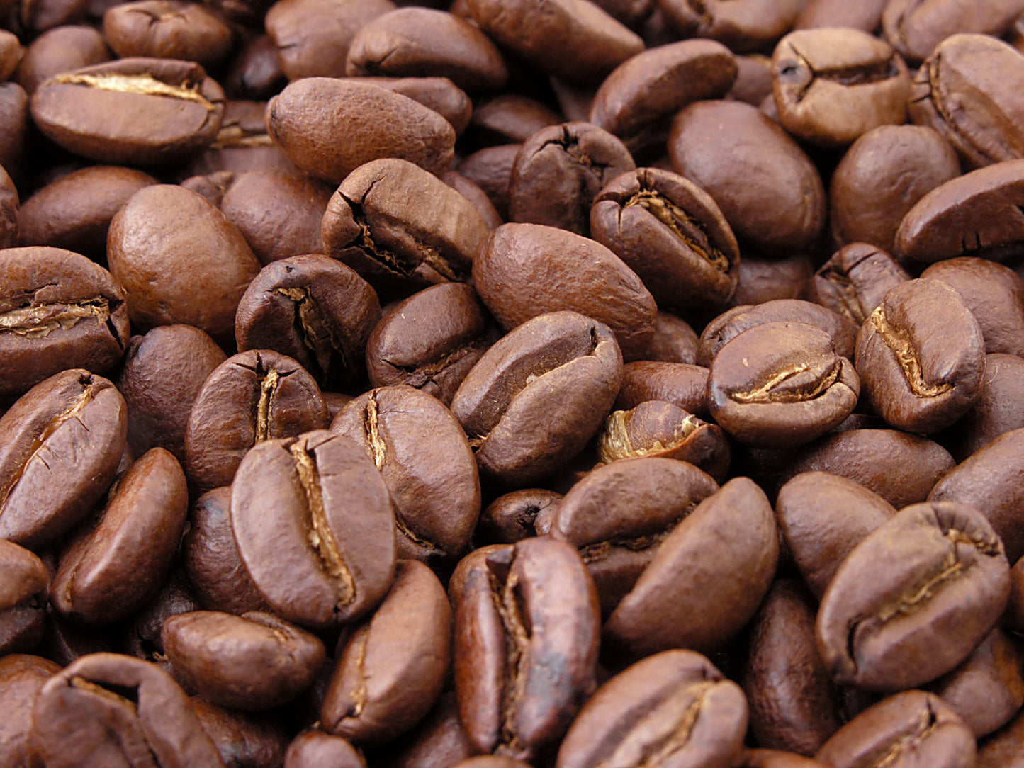 Bulk 25lb Whole Bean Box